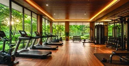 Gymnasium